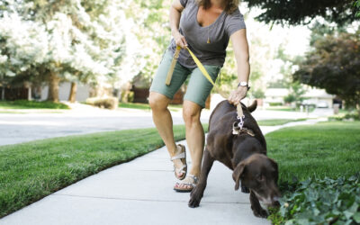 Three Ways Walking Can Cause Pain in the Neck and Shoulder